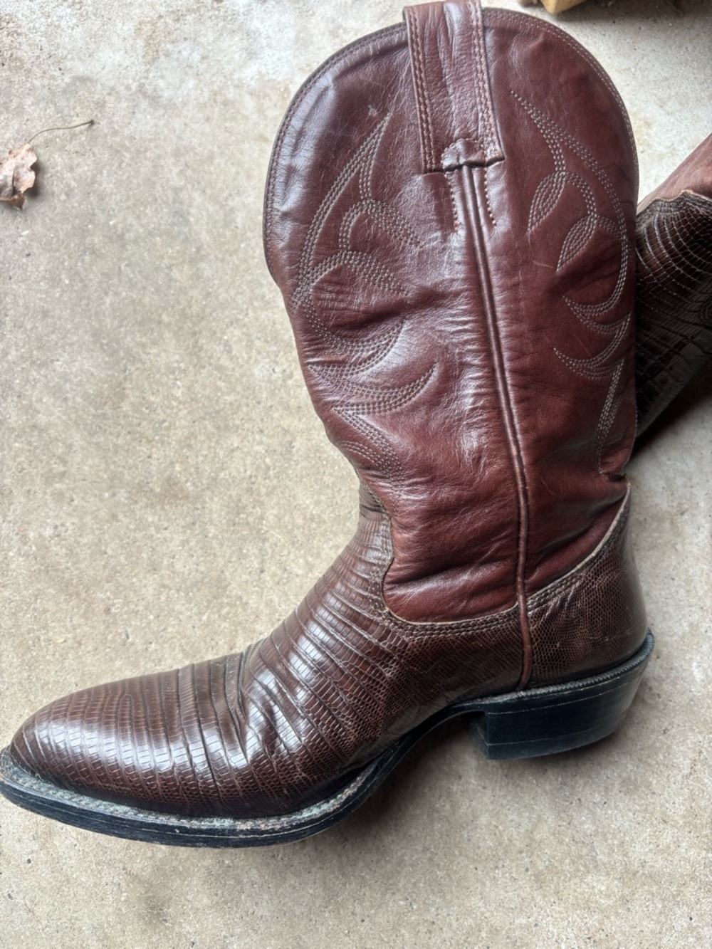 Vintage Cowboy Boots - Alberta Boot Co. Leather and Teju Lizard Skin 9.5